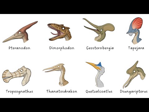 Every PTEROSAUR Explained in 08 Minutes
