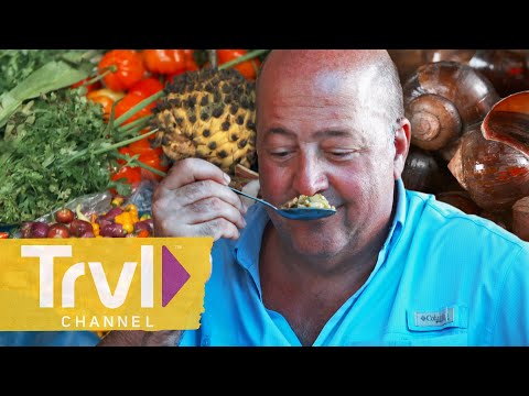 Unique Ingredients from the Amazon | Bizarre Foods with Andrew Zimmern | Travel Channel