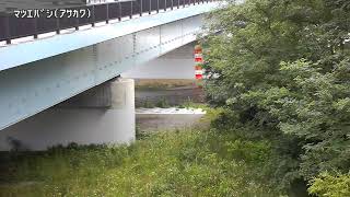 松枝橋映像監視局