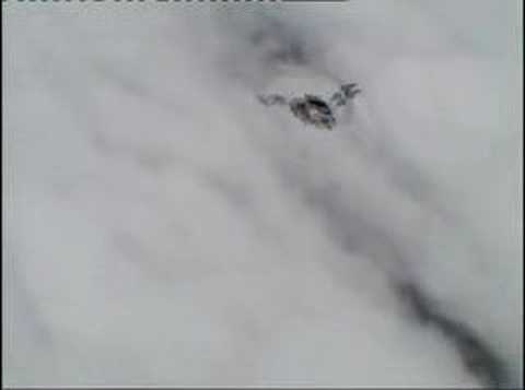 vincent b2 version longue