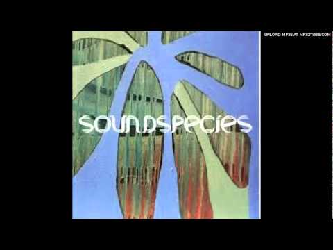 Soundspecies (Ft. Deborah Jordan) -Relax