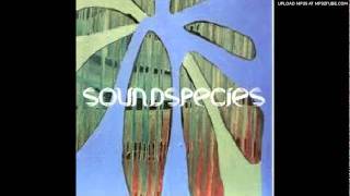 Soundspecies (Ft. Deborah Jordan) -Relax