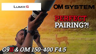 Panasonic Lumix G9II Field Test with OM 150-400mm f/4.5 TC IS Pro