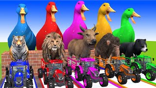 Long Slide Game With Cow Elephant Tiger Gorilla Kangaroo 3d Animal Game Funny 3d Animals Cage Game