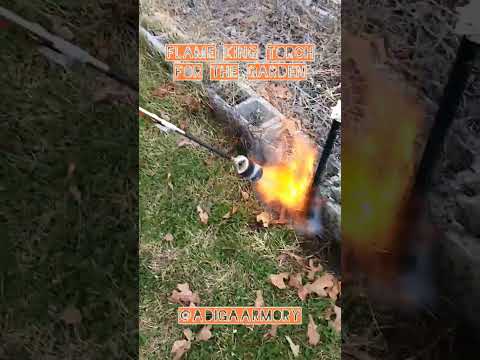 Mini Review: Flame King Auto Ignition Propane Torch. Hot Stuff For Gardens. 🔥