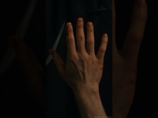 Trailer Tomorrow