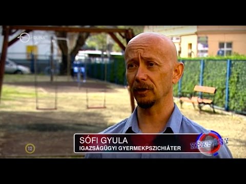 A szigetszentmiklósi gyermekbántalmazási ügy - Kékfény