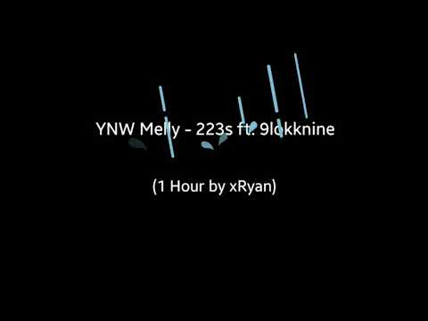 YNW Melly - 223s ft. 9lokknine (1 HOUR)