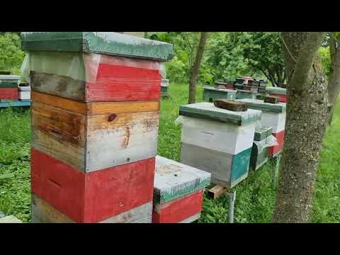 KAKO SI POMOĆI U LOŠEM VREMENU. O2.06.2023