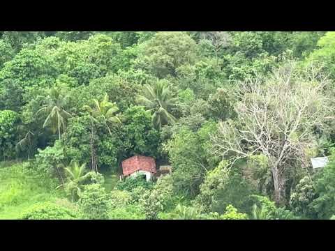 Testing the iPhone 15 Camera in a Srilankan village