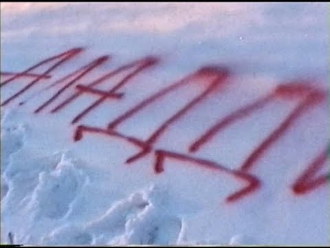 davaidasha - Аладдин (Official Video)