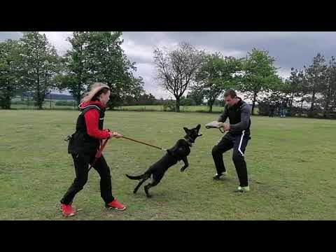 Ruby Rose Leryka - obrany 5/2020 (5 měsíců)