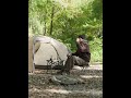 Стілець складаний Naturehike CNK2550JJ011, алюміній, оливковий