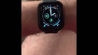 Caught Daylight Savings Time on Apple Watch