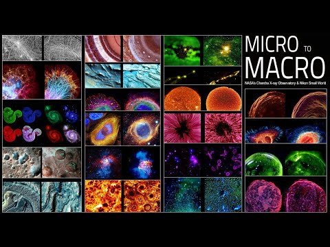 Micro to Macro: From the Extremely Big to the Incredibly Small