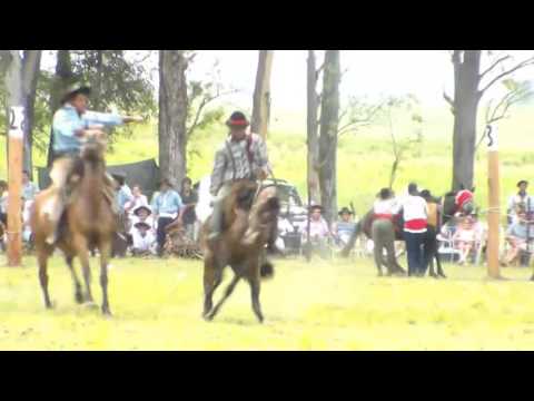 CRIOLLAS TROPIEZO 2016 - ORGANIZADAS POR EDUARDO SEQUEIRA Y FAMILIA