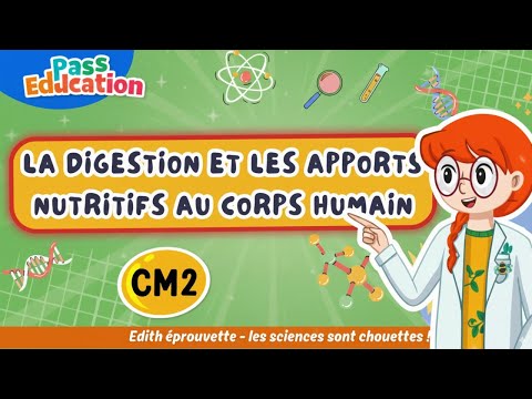 La digestion et les apports nutritifs au corps humain – Cm2 – Leçon, Exercices, Evaluations