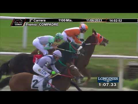 230611 c02 GATA DE VERANO