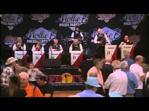 Bohemian Knights on Mollie B Polka Party Feb 2013 (1)