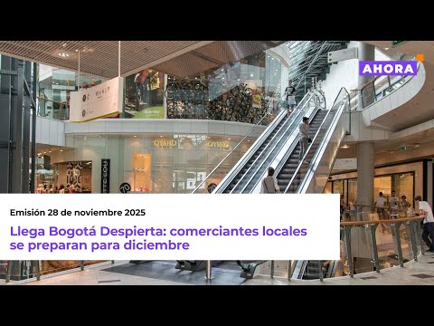 Noviembre 28 de 2025