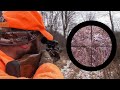 OPENING DAY OF RIFLE CRAZY DEER DRIVE PA RIFLE SEASON 2021