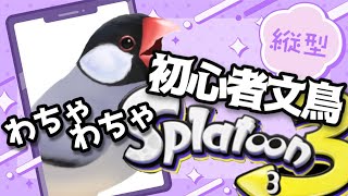 【昼活】初心者文鳥のスプラ3！【バーチャル文鳥】