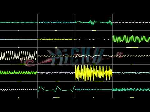 MichU feat. Jakim - Moogie In New York (Oscilloscope View)