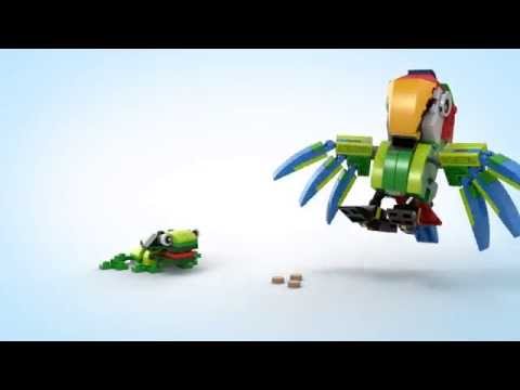 Vidéo LEGO Creator 31031 : Les animaux de la forêt tropicale