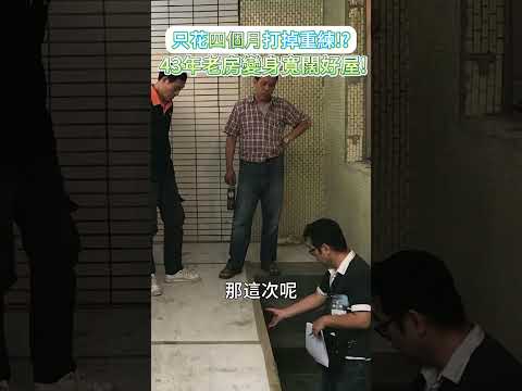 理揚室內裝修設計有限公司 短影音縮圖