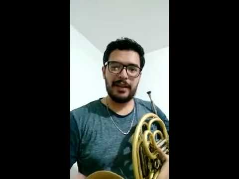 Posición de la mano derecha en el corno francés.