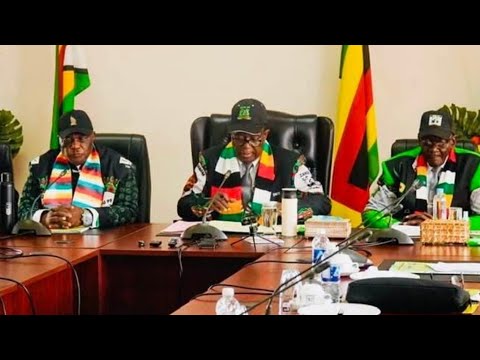 President Mnangagwa and Vice Presidents