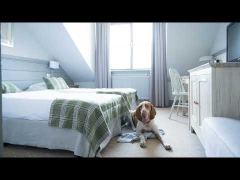 Sielanka Nad Pilicą, Warka, Poland | Holiday with Falguni