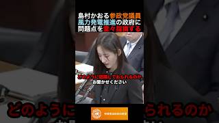 島村かおる参政党議員風力発電推進の政府に問題点を堂々指摘する #政治 #ニュース #参政党 #神谷宗幣 #高市政権
