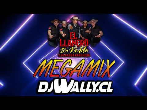 MIX EL LLANERO DE ÑUBLE DJ WALLY