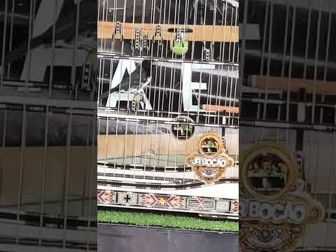 MEGA PIX " 303" CANTOS " PRT " RENATO DE ITAPERUNA " RJ" 01/11/25