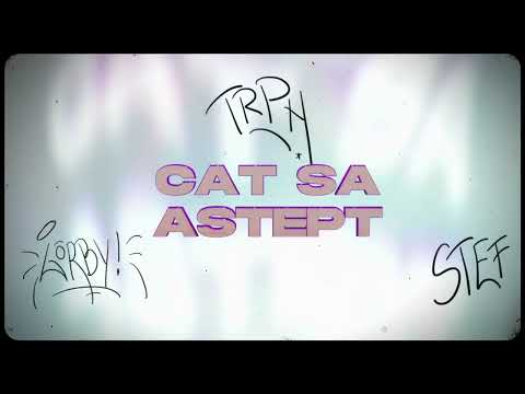 Gorby & Trippin - Cat Sa Astept feat. Stefan Costea
