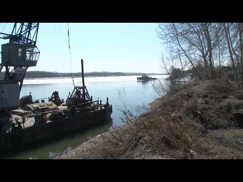 "Будни" (новости, 31.03.26г., Бийское телевидение)