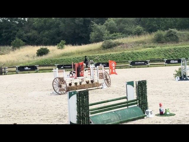 Top poney d&rsquo;avenir 