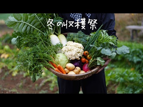 家庭菜園:狭い面積でたくさん収穫 トピックス