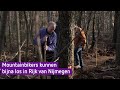 Mountainbikers leggen 'paradijs' aan in Rijk van Nijmegen