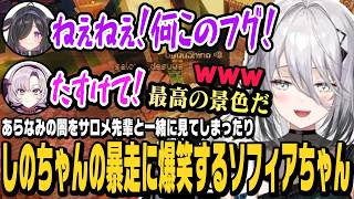新波女学園をサロメ先輩と調査していたら闇を見てしまったり、暴走するしのちゃんに爆笑するソフィアちゃん【ソフィア・ヴァレンタイン切り抜き/あらなみマイクラ/すこらび/夜牛詩乃/にじさんじ】