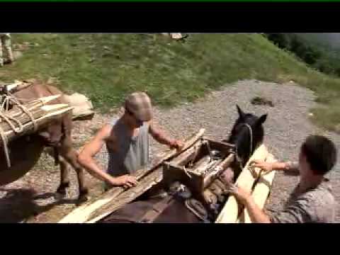 SUR LE CHEMIN DES ESTIVES (extrait)