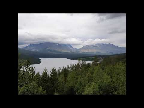 Sibelius Impromptu Op  5 No  5