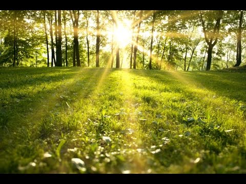 Instrumental Music for Studying and Concentration, Binaural Beats, Music Study, Relax Music, ☯2779
