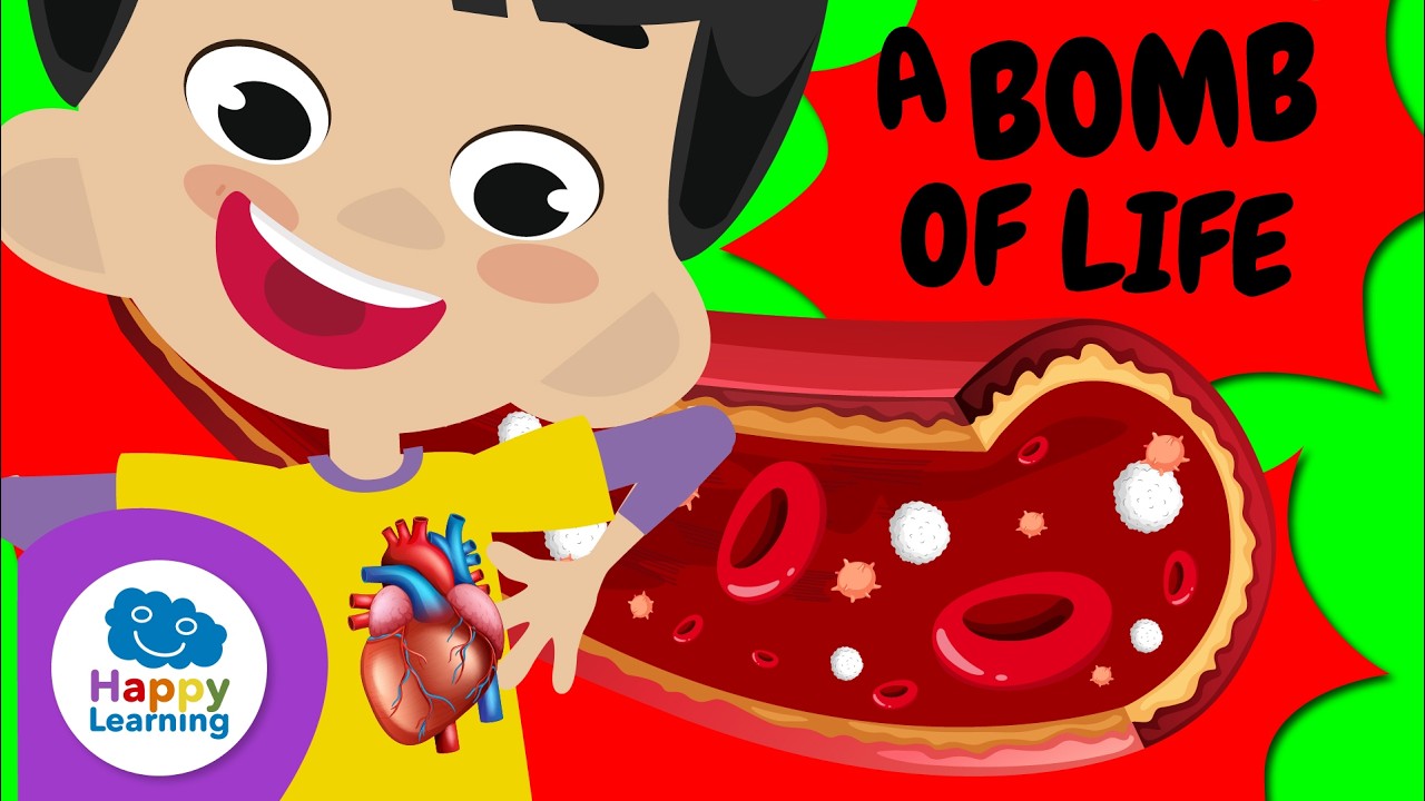 🫀 HOW DOES BLOOD TRAVEL through your body? | Educational Videos for Children | @HappyLearningEN