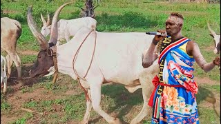 Download lagu Ahoc Jeep - Rumbek Matur by Dr Emmanuel ￼Mayor Angau  mp3