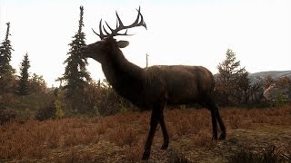 Cabela's Big Game Hunter 12 video 1