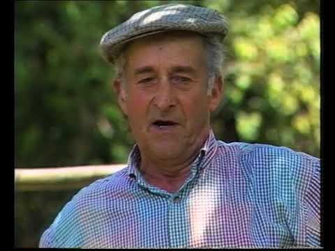 Quand lo mèstre ven del mercat… (3/5)