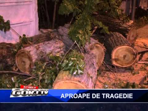 APROAPE DE TRAGEDIE