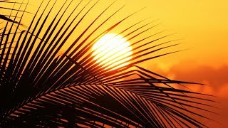 Sam Cooke - Jamaica Farewell  [HD]